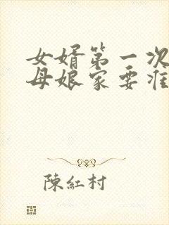 女婿第一次去丈母娘家要准备什么东西