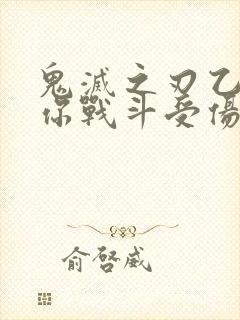 鬼灭之刃乙女当你战斗受伤时封面