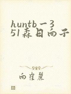 huntb一351森日向子