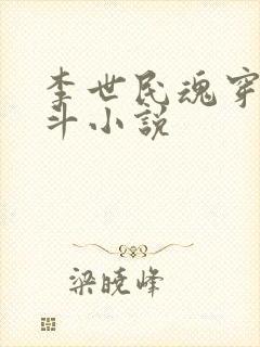 李世民魂穿刘阿斗小说封面