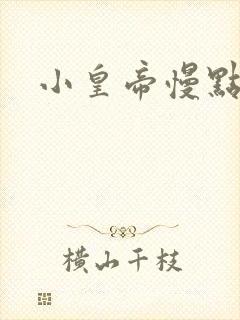 小皇帝慢点疼封面