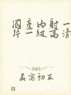 国产内射一级一片一级高清视频