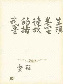 我的后半生哪个台播放电视剧