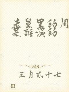 老舅里的周小姐是谁演的