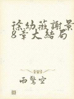 徐幼薇谢景玹48章大结局封面