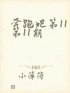 奔跑吧第11季第11期