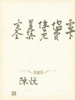 完美伴侣电视剧全集免费下载观看封面