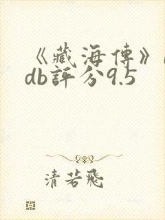 《藏海传》imdb评分9.5