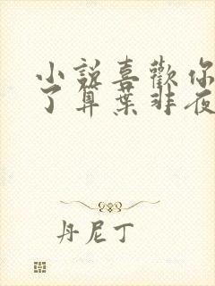 小说喜欢你我说了算叶非夜封面