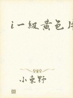 i一级黄色片