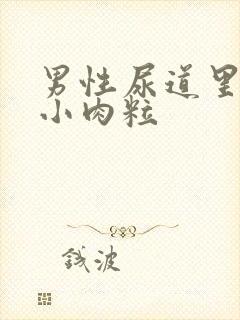 男性尿道里面有小肉粒