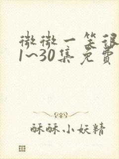 微微一笑很倾城1~30集免费观看封面