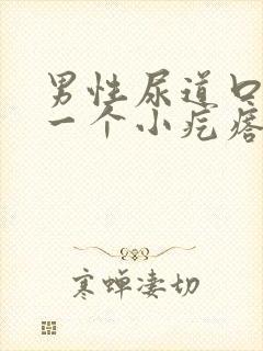 男性尿道口长了一个小疙瘩怎么回事