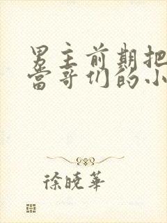 男主前期把女主当哥们的小说封面