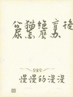 公猫绝育后还乱尿怎么办封面