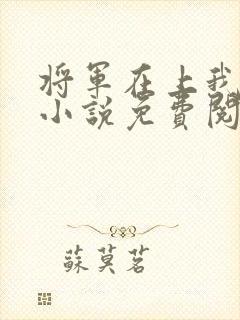 将军在上我在下小说免费阅读全文封面