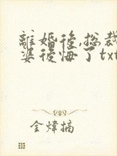 离婚后,总裁老婆后悔了txt下载全本