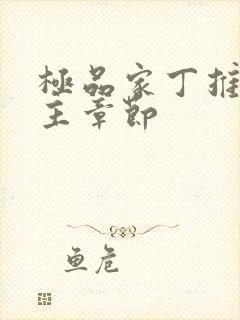 极品家丁推到女主章节