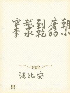 穿越到唐朝成为李承乾的小说封面