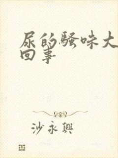 尿的骚味大怎么回事封面