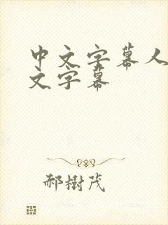 中文字幕人妻中文字幕