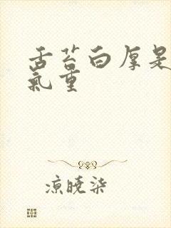 舌苔白厚是有湿气重