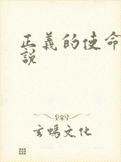 正义的使命 小说