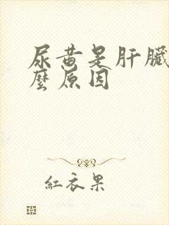 尿黄是肝脏出什么原因封面