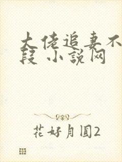 大佬追妻不择手段 小说网