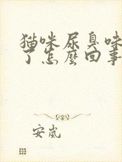 猫咪尿臭味太重了怎么回事