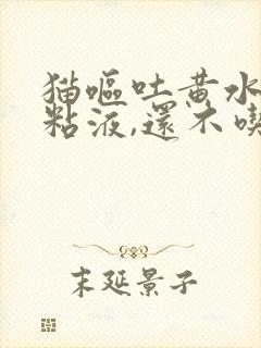 猫呕吐黄水泡沫粘液,还不吃东西