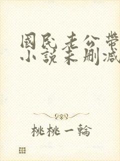 国民老公带回家小说未删减