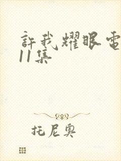 许我耀眼电视剧11集封面