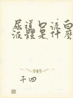 尿道口流白色的液体是什么封面