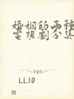 婚姻的两种猜想电视剧分集剧情介绍封面