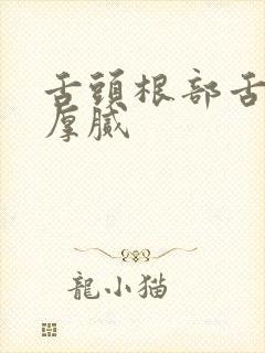 舌头根部舌苔白厚腻