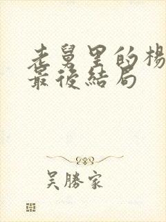 老舅里的杨小姐最后结局