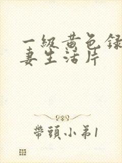 一级黄色录像夫妻生活片