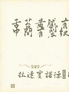 舌苔黄腻有齿痕中间有裂纹