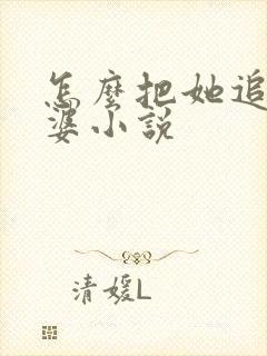 怎么把她追成老婆小说