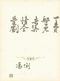 爱情去哪了电视剧全集免费观看封面