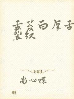 舌苔白厚舌中有裂纹