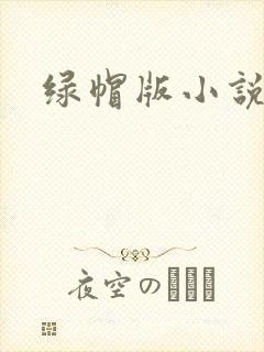 绿帽版小说