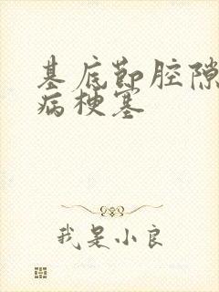 基底节腔隙性脑病梗塞封面