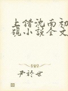 上错沈南初陆时砚小说全文免费阅读