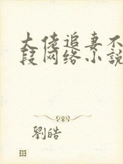 大佬追妻不择手段网络小说