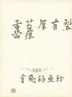 舌苔厚有裂纹有齿痕