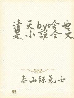 清天by啥也不是小说全文免费阅读封面