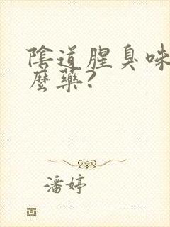 阴道腥臭味用什么药?