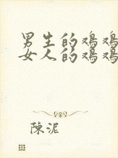 男生的鸡鸡插进女人的鸡鸡里